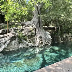 Las Tortugas de Huixastla