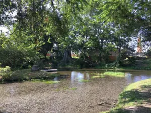 Balneario El Axocochetl