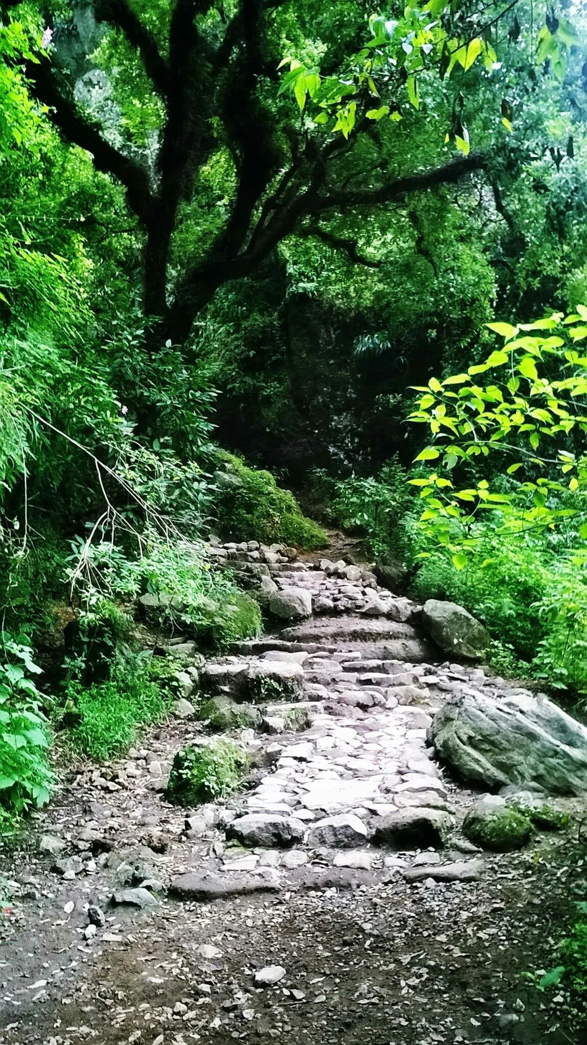 Puente de la Calavera