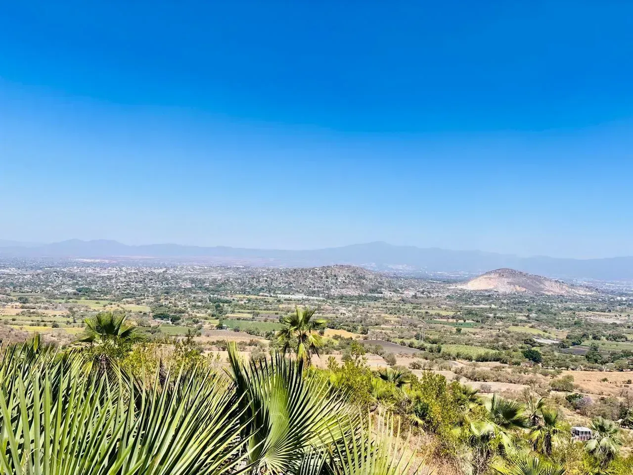 Reserva Estatal La Sierra Monte Negro