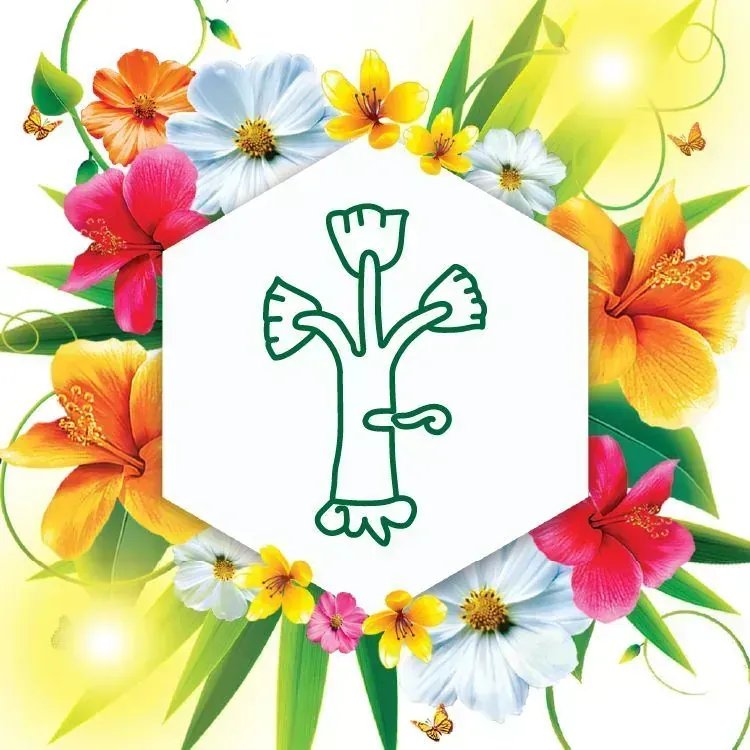 Museo de la Ciudad de Cuernavaca